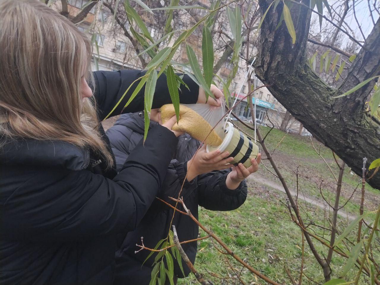День добровольца