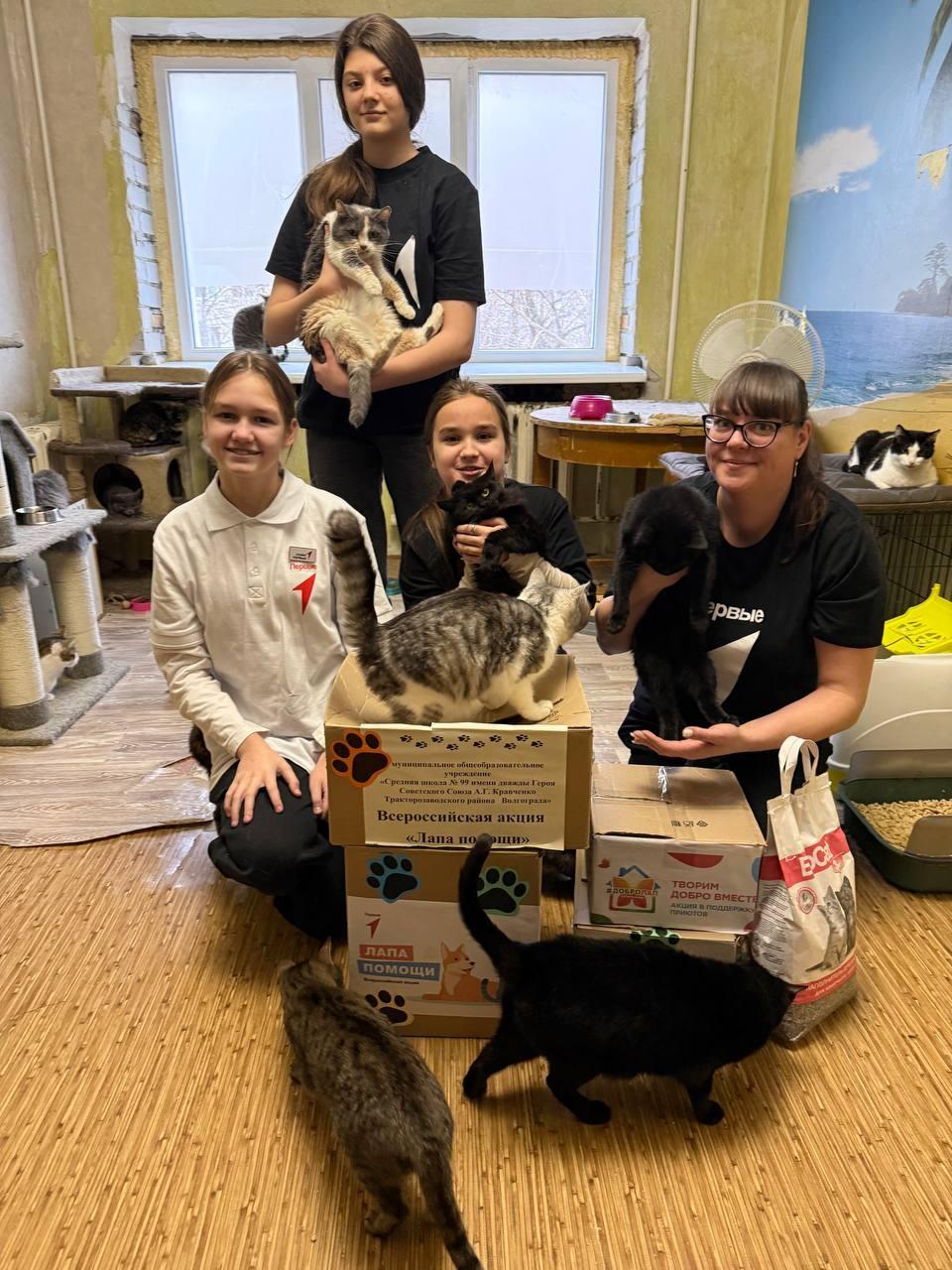 «Четыре лапы»: первичка Первых помогает приюту «Верные друзья»