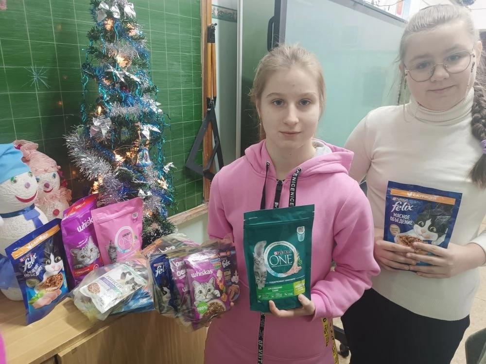 «Четыре лапы»: первичка Первых помогает приюту «Верные друзья»