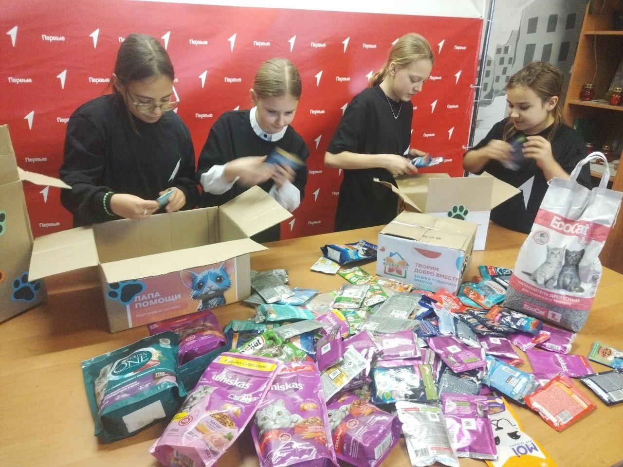 «Четыре лапы»: первичка Первых помогает приюту «Верные друзья»