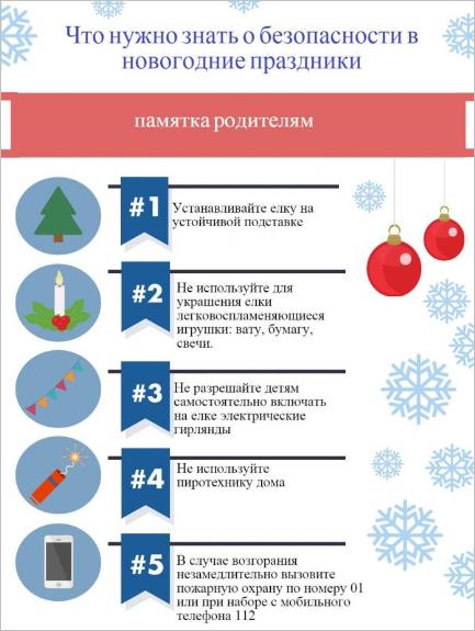 Что нужно знать о безопасности в новогодние праздники