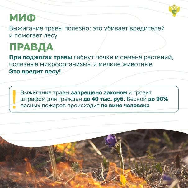 МИф и правда о выжигании лесной травы