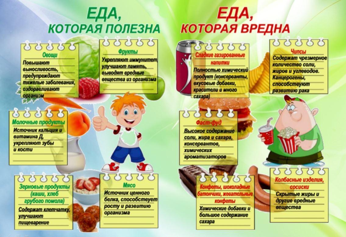Полезная и вредная еда