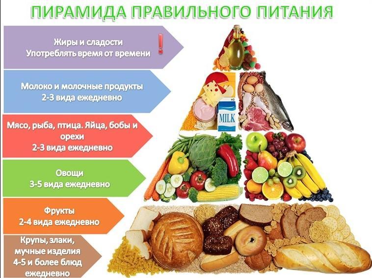 Пирамида правильного питания