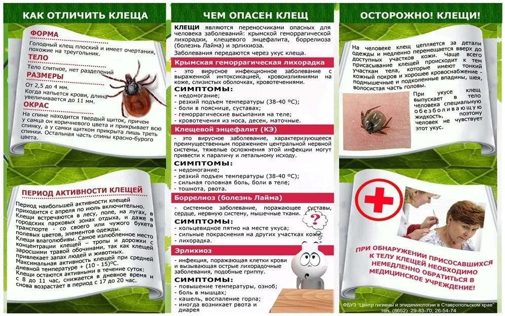 Памятка Иксодовые клещи