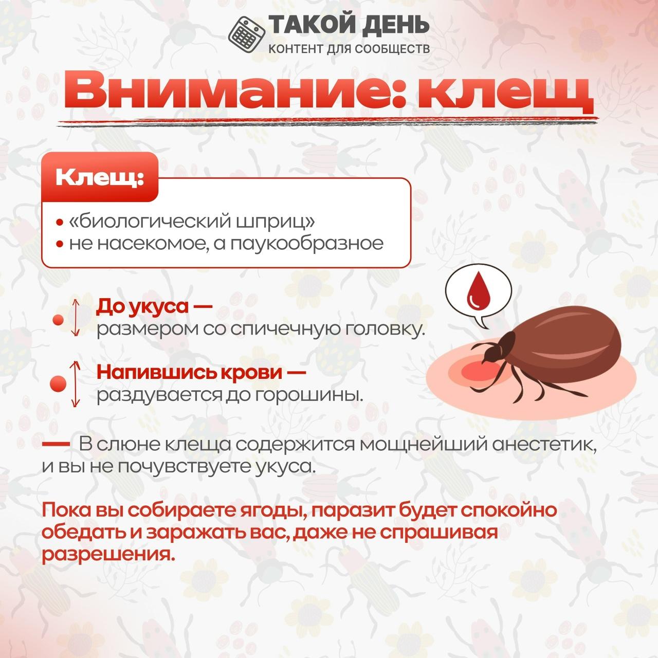 Памятка Внимание  клещ