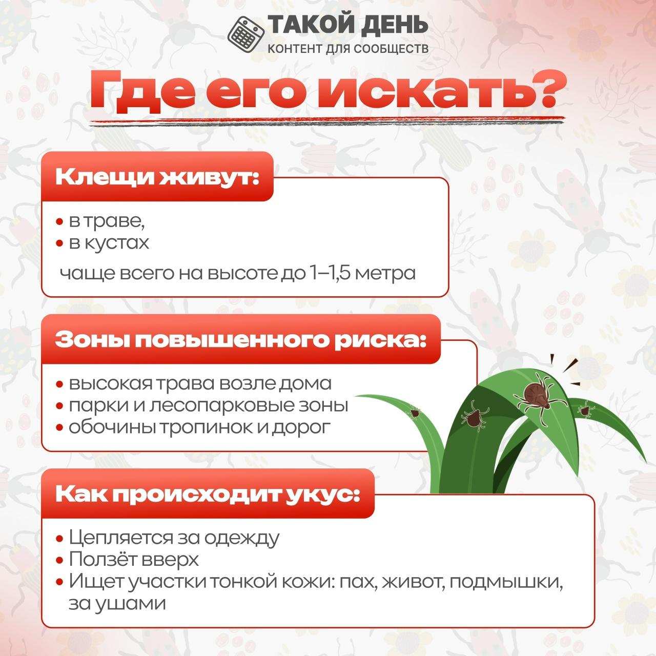 Памятка: Где его искать?