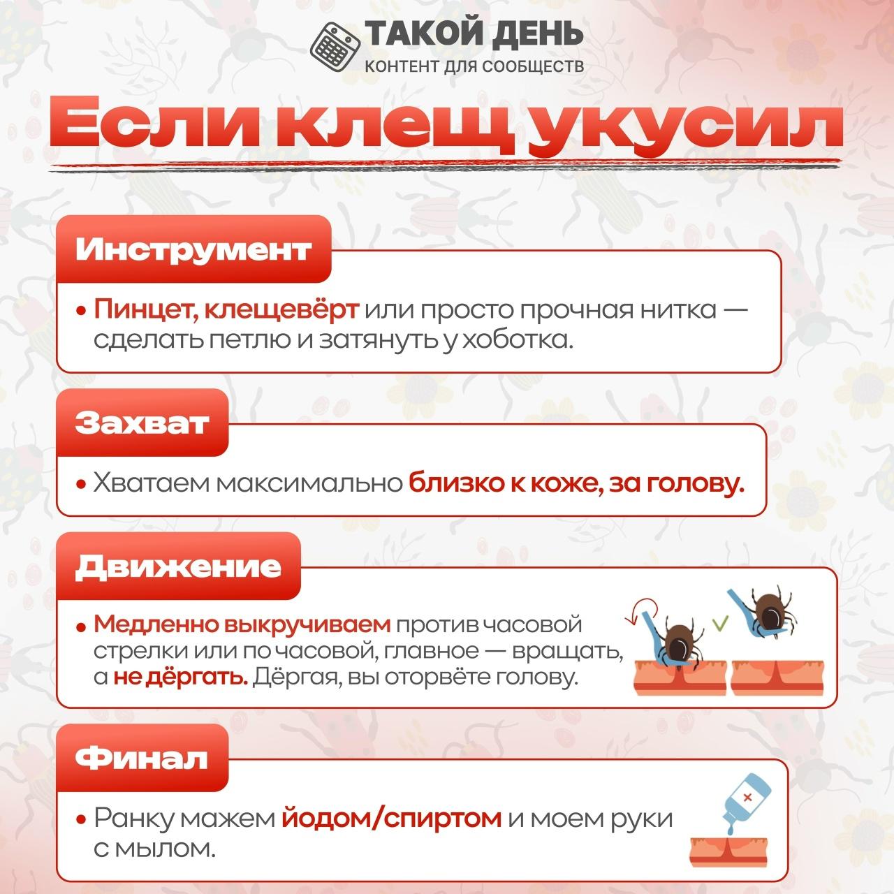 Памятка : Если клещ укусил