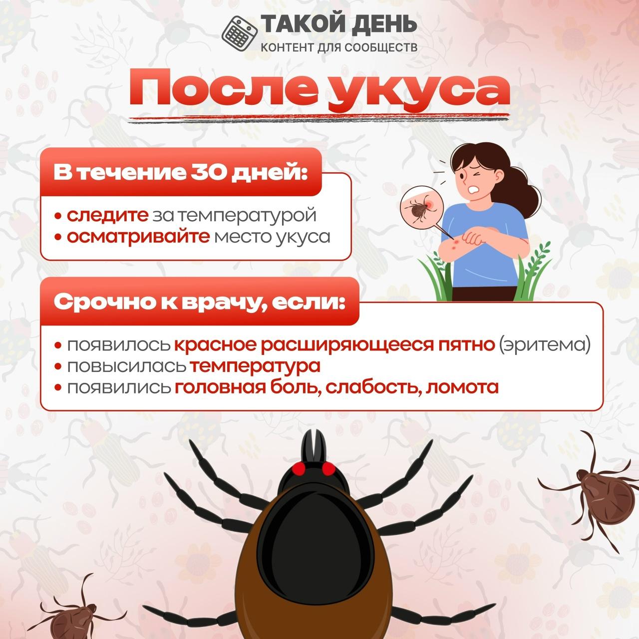 Памятка: После укуса