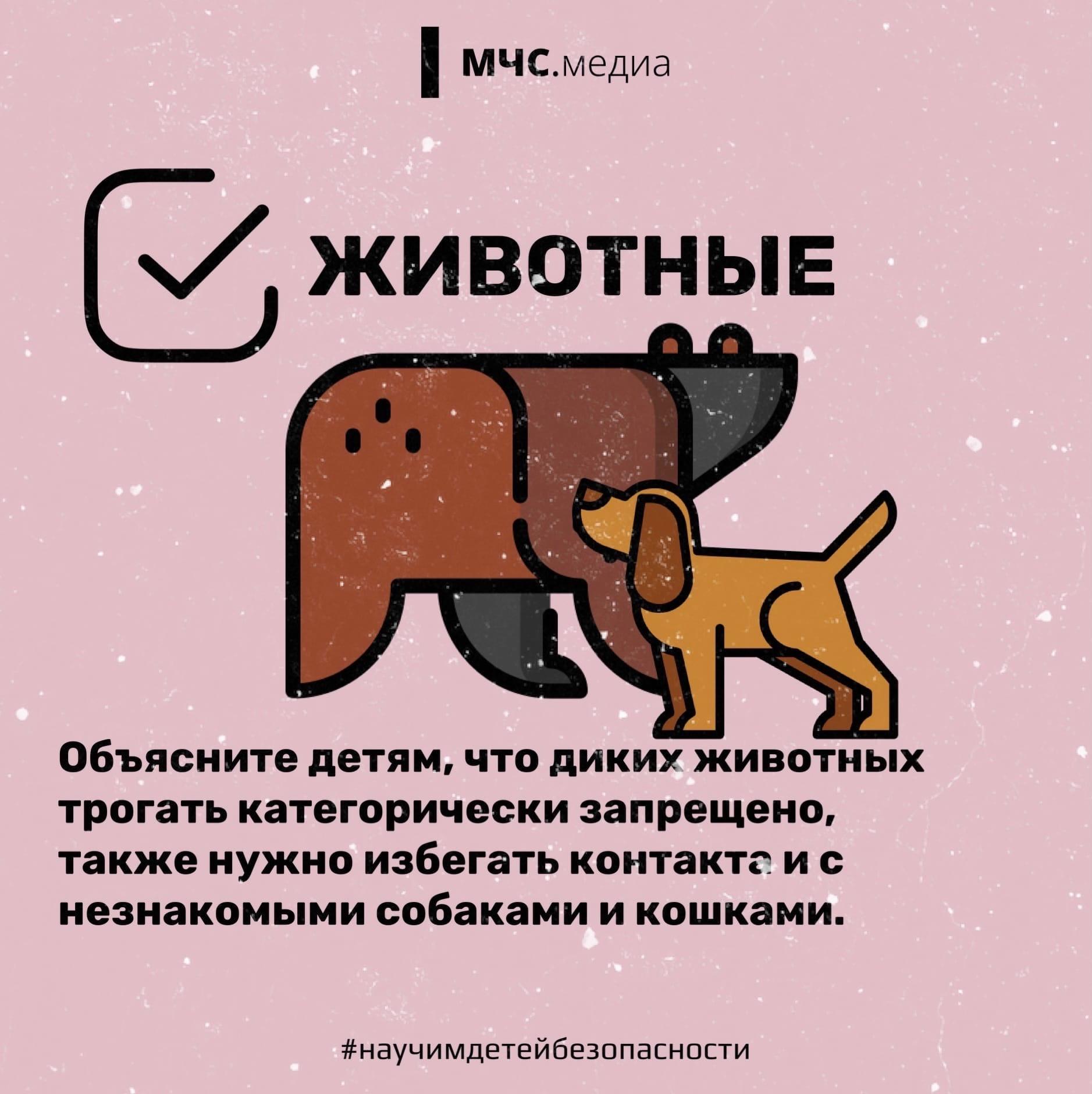 Чек-лист для родителей: "Безопасный детский отдых на даче"