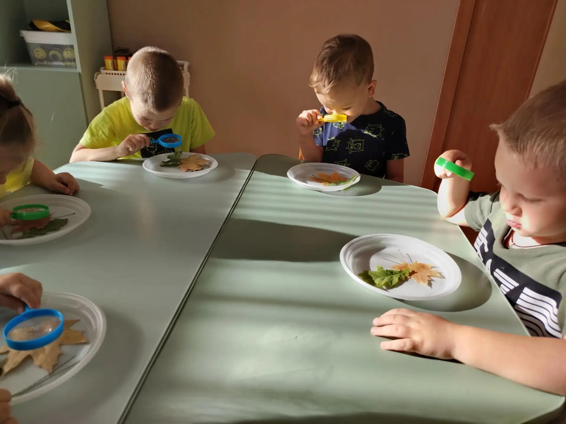 Рассматривание листьев под лупой